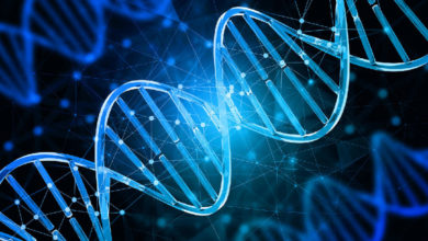 Markanın DNA’sı Eşittir Kurum Kültürü