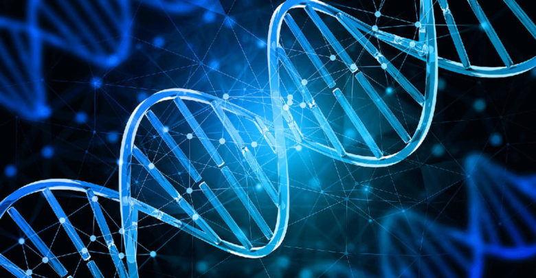 Markanın DNA’sı Eşittir Kurum Kültürü