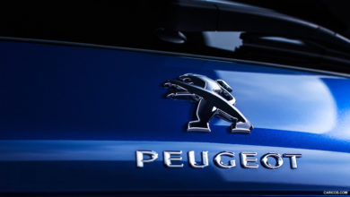 Marka & Peugeot Efsanesi – Haldun Yıldız