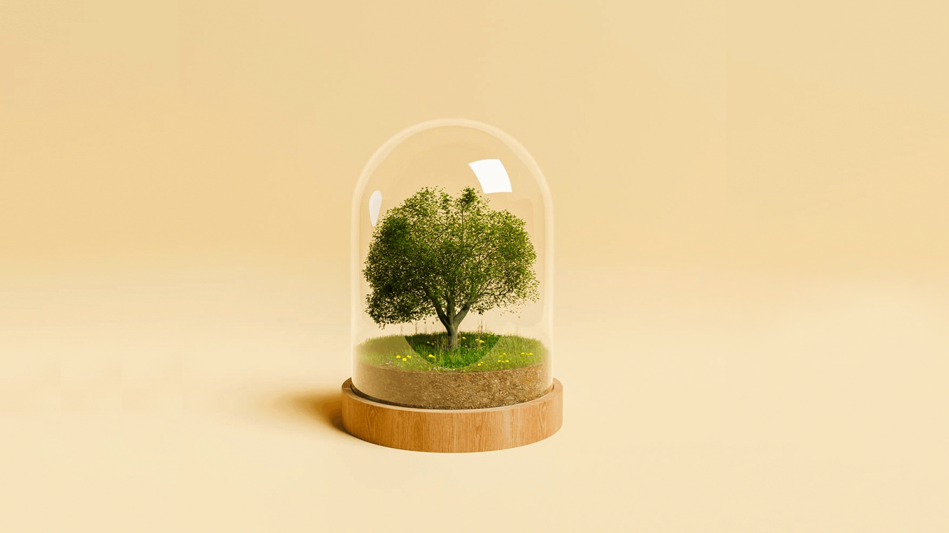 Marka Mimarisi Nedir? Bileşenleri Nelerdir? – Haldun Yıldız